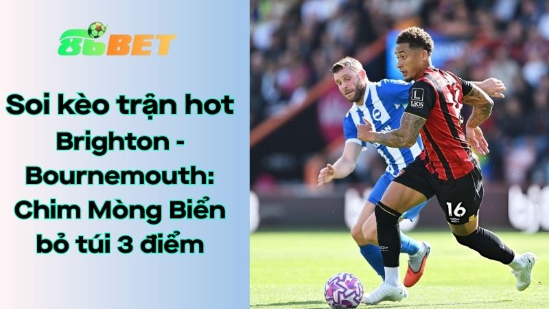 Soi kèo nhà cái 86BET Brighton – Bournemouth: 03h00 – 20/01/2026 – Ngoại hạng Anh